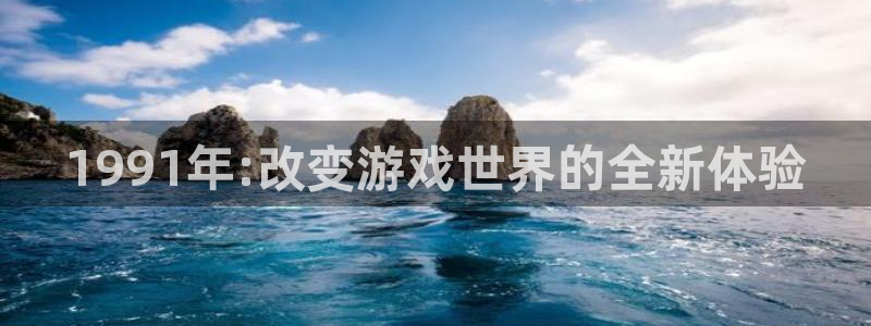 亿万28logo：1991年:改变游戏世界的全新体验
