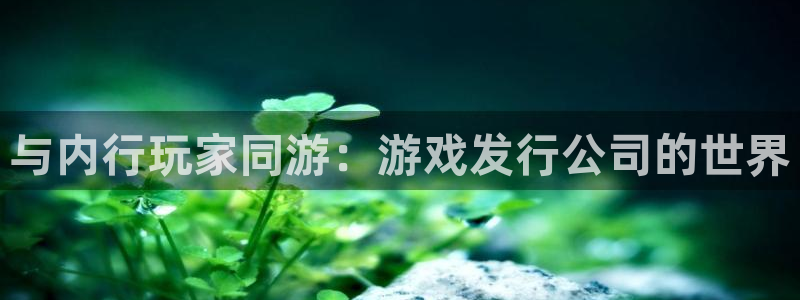 亿万28官网客服服务怎么样：与内行玩家同游：游戏发行公司的世界