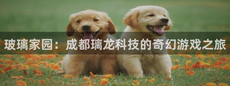 亿万28官网解绑银行卡怎么解绑：玻璃家园：成都璃龙科技的奇幻游戏之旅