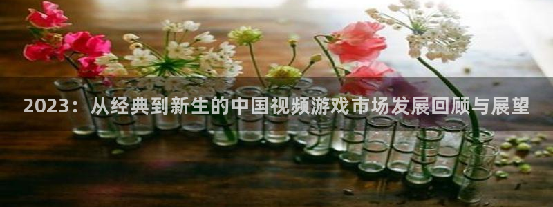 亿万28官网注册平台怎么注册不了：2023：从经典到新生的中国视频游戏市场发展回顾与展望