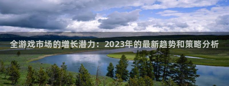 亿万28官网主营业务：全游戏市场的增长潜力：2023年的最新趋势和策略分析