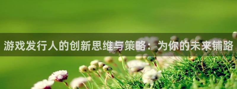 lvnces亿万28衣服：游戏发行人的创新思维与策略：为你的未来铺路