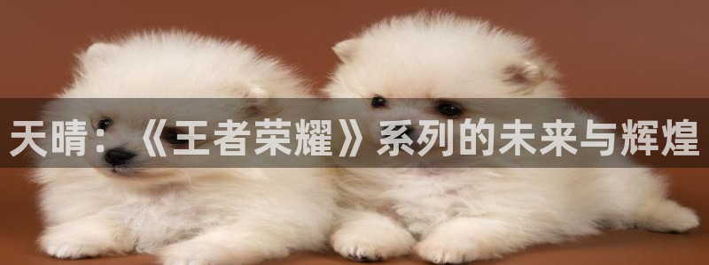 亿万28官网注册平台是什么软件：天晴：《王者荣耀》系列的未来与辉煌