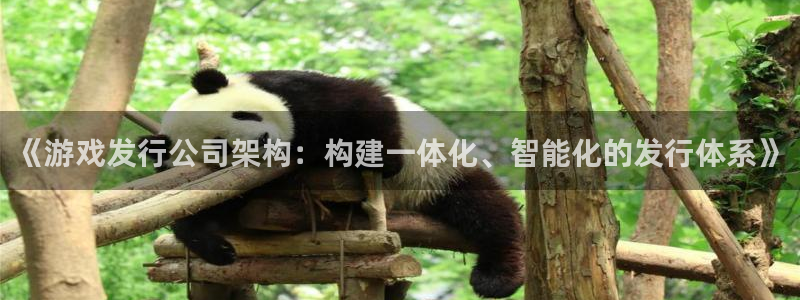 陕西省西安市亿万28子文化创意：《游戏发行公司架构：构建一体化、智能化的发行体系》