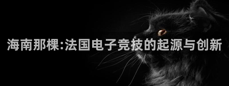 亿万28官网客服招聘：海南那棵:法国电子竞技的起源与创新