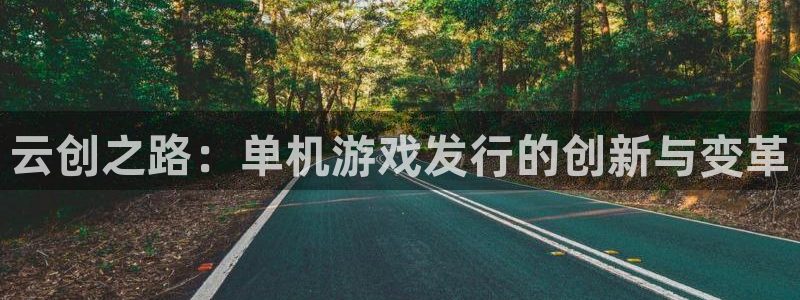 亿万28官网解绑银行卡：云创之路：单机游戏发行的创新与变革