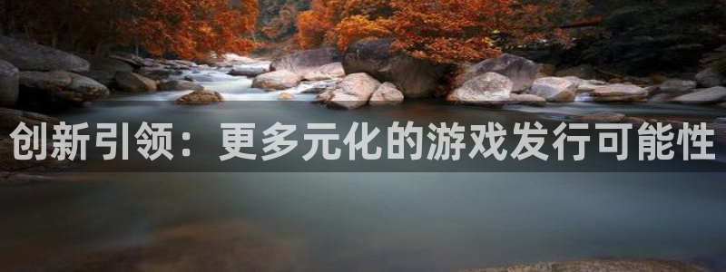 亿万28集团：创新引领：更多元化的游戏发行可能性