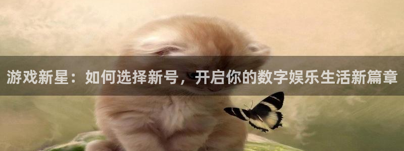 广州亿万28投资