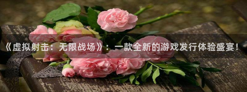 亿万28子教育科技有限公司：《虚拟射击：无限战场》：一款全新的游戏发行体验盛宴！