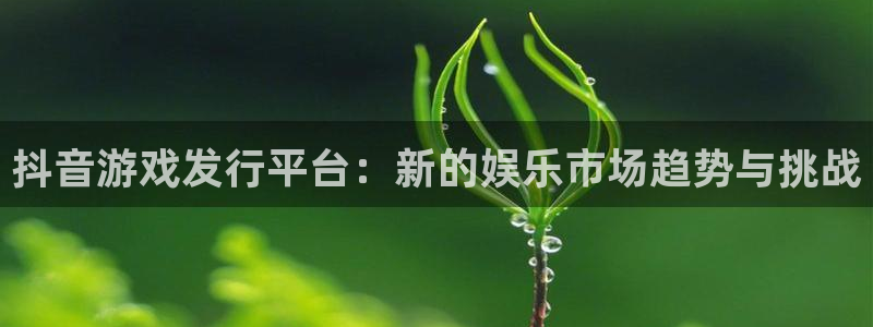 亿万28lvnces是什么档次：抖音游戏发行平台：新的娱乐市场趋势与挑战