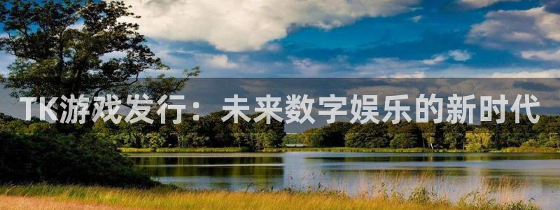 亿万28实业投资(东莞)有限公司：TK游戏发行：未来数字娱乐的新时代