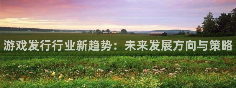 陕西亿万28子文化公司有什么游戏