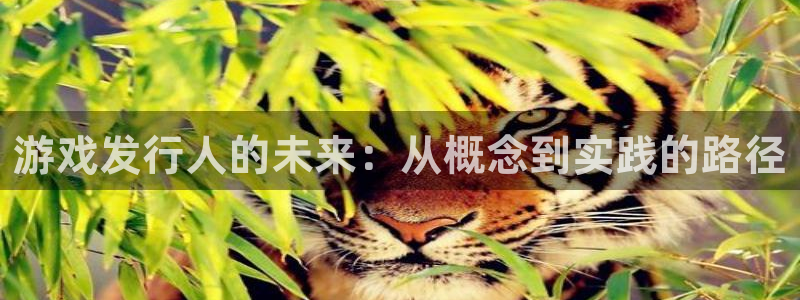 陕西亿万28子文化公司有什么游戏