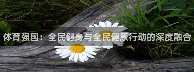 熊猫主播视频