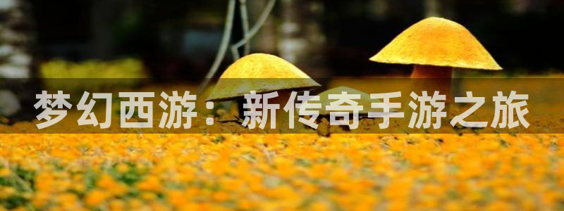 亿万28官网解绑银行卡怎么操作：梦幻西游：新传奇手游之旅