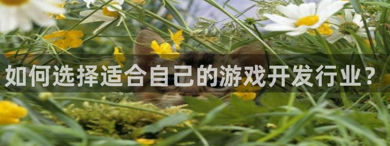 亿万28官网注册地址查询官网