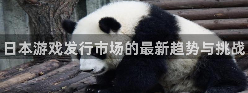 亿万28官网跑路了吗：日本游戏发行市场的最新趋势与挑战
