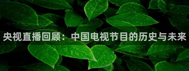 动感熊猫体育公园：央视直播回顾：中国电视节目的历史与未来