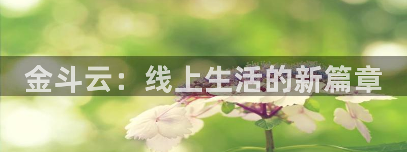 熊猫app直播：金斗云：线上生活的新篇章